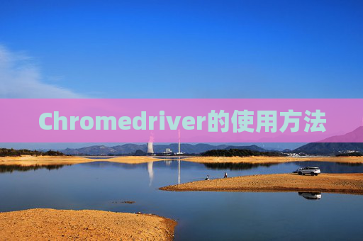 Chromedriver的使用方法