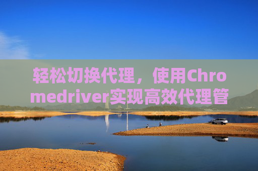 轻松切换代理，使用Chromedriver实现高效代理管理