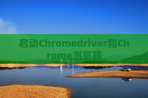 启动Chromedriver和Chrome浏览器