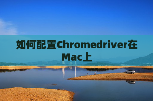 如何配置Chromedriver在Mac上